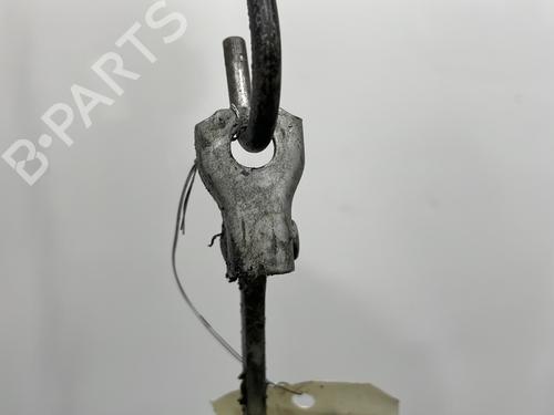 Hinge/Door check strap CITROËN C3 Pluriel (HB_) 1.4 HDi | BP20928843C146 