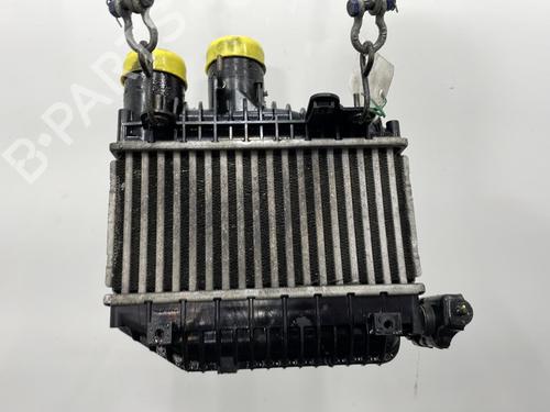 Intercooler Intercooler TOYOTA COROLLA Verso (ZER_, ZZE12_, R1_) 2.0 D-4D (CUR10_, CUR10R) (116 hp) 20394728 20394728