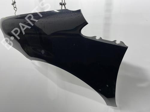Left front fenders VW TOURAN (1T1, 1T2) 1.9 TDI | BP29749668C41 