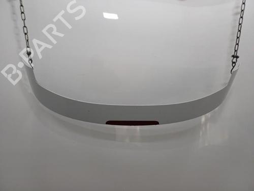 Rear spoiler RENAULT MEGANE III Coupe (DZ0/1_) 1.4 TCe (DZ0F, DZ1V) | BP20422527C96 