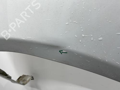 Right front fenders DACIA SANDERO 1.4 (BS0C, BS0A, BS0G, BS1F, BS0E) | BP30044846C42