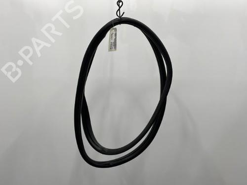 Used Rubber door seal RENAULT CLIO III (BR0/1, CR0/1) 1.2 16V (BR02, BR0J, BR11, CR02, CR0J, CR11) (75 hp) 20445500
