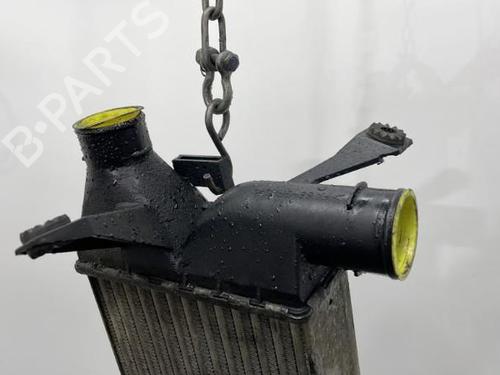 Intercooler BMW 5 (E39) 525 tds | BP20438877M30 