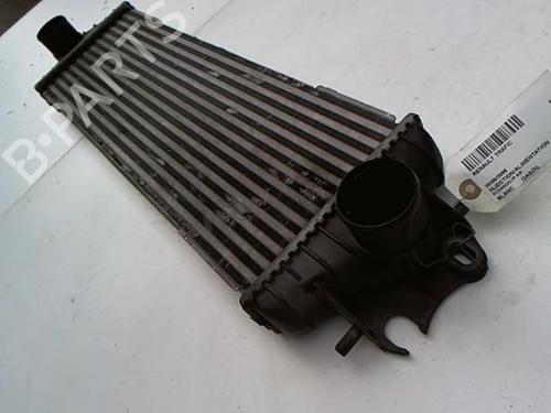 Intercooler RENAULT TRAFIC II Van (FL) 1.9 dCi 100 (FL0C, FL0K, FL0B) | BP20476940M30 