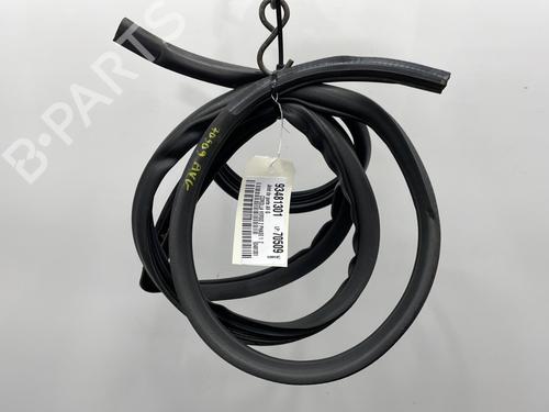 Used Rubber door seal TOYOTA COROLLA Verso (ZER_, ZZE12_, R1_) 2.0 D-4D (CUR10_, CUR10R) (116 hp) 20394811