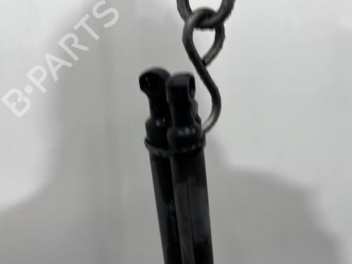 tailgate-lift-support-renault-clio-iii-br01-cr01-2005-2006-2007-2008-2009-2010-2011-2012-2013-2014-30548148 main image