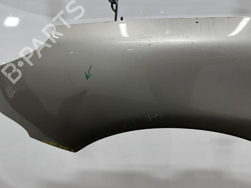 Left front fenders PEUGEOT 206 Hatchback (2A/C) 1.4 i | BP27873707C41 