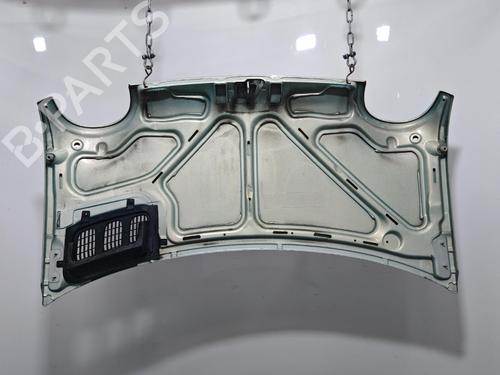 Used Hood Hood RENAULT TWINGO I (C06_) 1.2 16V (C06C, C06D, C06K) (75 hp) 40544524 40544524