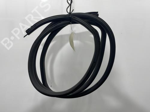 rubber-door-seal-ford-focus-i-daw-dbw-1998-1999-2000-2001-2002-2003-2004-2005-2006-2007-2008-2009-30161807 main image