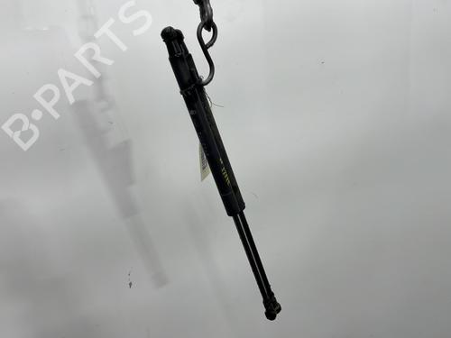 Tailgate lift support FIAT PANDA (312_, 319_) 1.2 (312PXA1A) | BP29491121C138 