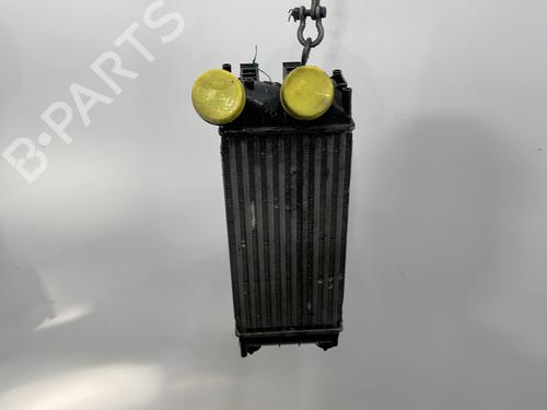 Used Intercooler CITROËN C4 II (NC_) 1.6 HDi 115 (114 hp) 28481975