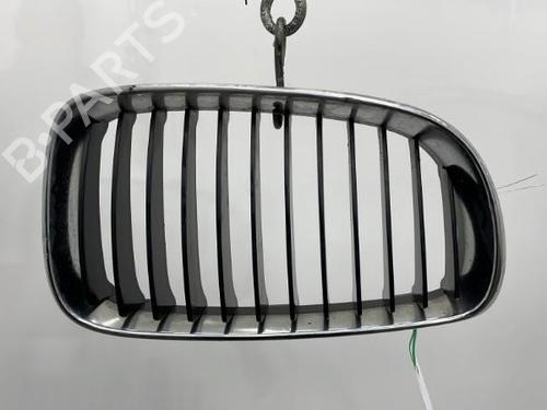 Griglia BMW 1 (E87) 118 d | BP20422370C40 