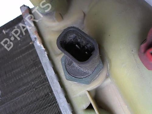 Water radiator LANCIA Y10 (156_) 1.1 i.e Fire (156AC) | BP21205502M31 