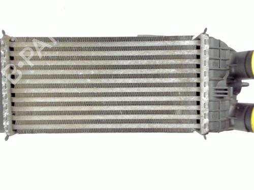Used Intercooler Intercooler PEUGEOT 207 SW (WK_) 1.6 HDi (92 hp) 20447397 20447397