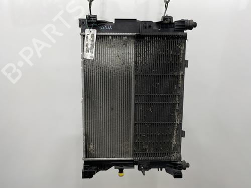 Used Water radiator Water radiator RENAULT ZOE (BFM_) ZOE (92 hp) 27215136 27215136