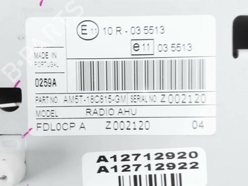 Radio FORD C-MAX II (DXA/CB7, DXA/CEU) 2.0 TDCi | BP31053173E6 