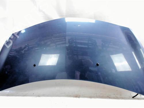 Hood RENAULT CLIO III (BR0/1, CR0/1) 1.5 dCi (C/BR0G, C/BR1G) | BP20409450C1 