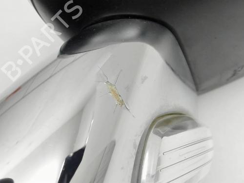 Left mirror CITROËN DS3 (SA_) 1.6 HDi 110 | BP29419723C26 
