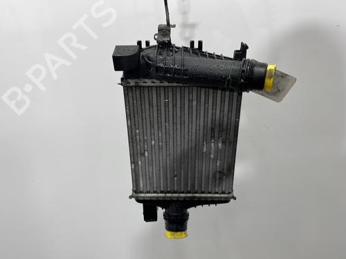 Used Intercooler RENAULT CAPTUR I (J5_, H5_) 1.5 dCi 90 (J5N4, J5M5, J5MW, J5M6, J5AL, J5AJ) (90 hp) 30308607