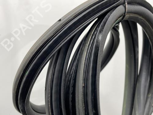 Rubber door seal CITROËN C4 II (NC_) 1.6 HDi 115 | BP24654069C142 