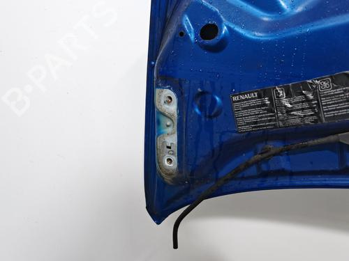 Used Hood Hood RENAULT TWINGO II (CN0_) 1.2 Turbo (CN0C, CN0F) (100 hp) 39954646 39954646