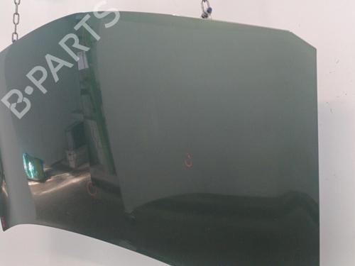 Hood RENAULT MEGANE II (BM0/1_, CM0/1_) 1.6 16V (BM0C, CM0C) | BP22102603C1 