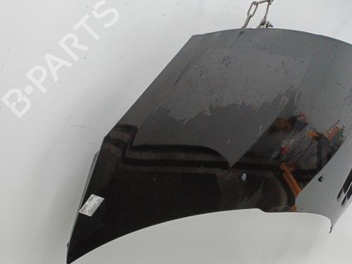 Used Hood PEUGEOT 206+ (2L_, 2M_) 1.4 HDi eco 70 (68 hp) 20428159