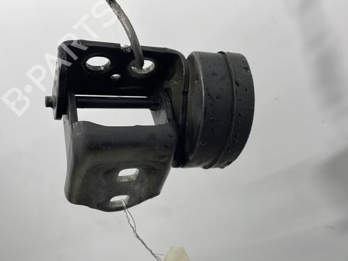 hingedoor-check-strap-renault-scenic-ii-jm01_-2003-2004-2005-2006-2007-2008-2009-2010-33701757 main image