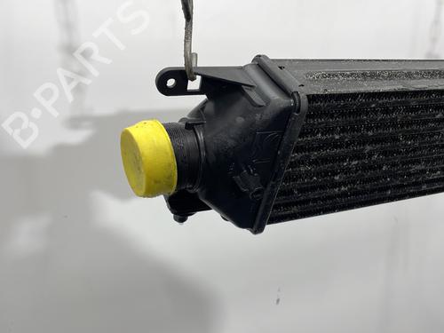 Intercooler ALFA ROMEO GIULIETTA (940_) 1.6 JTDM (940FXD1A) | BP30755921M30 - Image 4