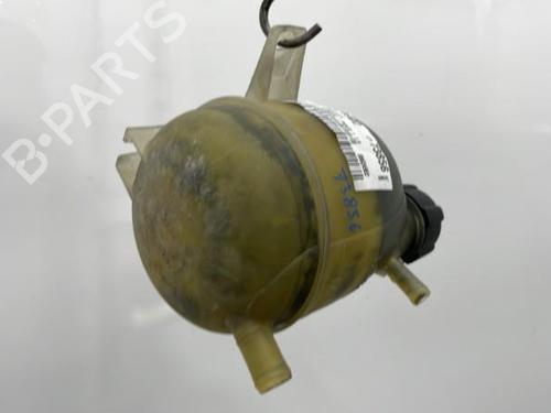 Used Expansion tank RENAULT KANGOO (KC0/1_) D 55 1.9 (KC0D) (54 hp) 20387834