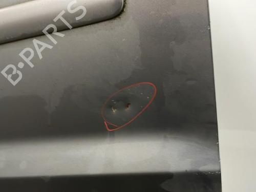 Right front door VW GOLF PLUS V (5M1, 521) 1.9 TDI | BP20393728C3 