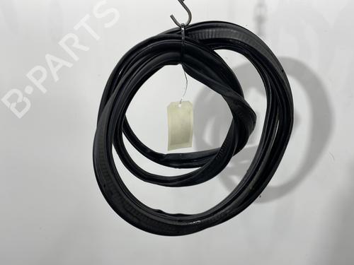 Gummiliste FORD C-MAX II (DXA/CB7, DXA/CEU) 1.6 TDCi (95 hp) 30736537