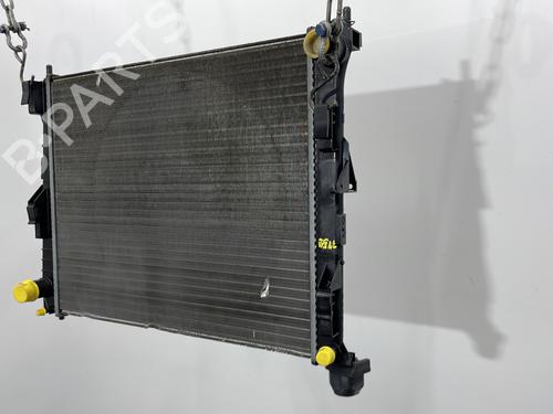 Water radiator RENAULT CLIO III (BR0/1, CR0/1) 1.2 16V Hi-Flex (BR1U, CR1U) | BP30044917M31 