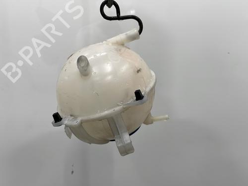 Expansion tank VW PASSAT B7 (362) 2.0 TDI | BP21162907C120
