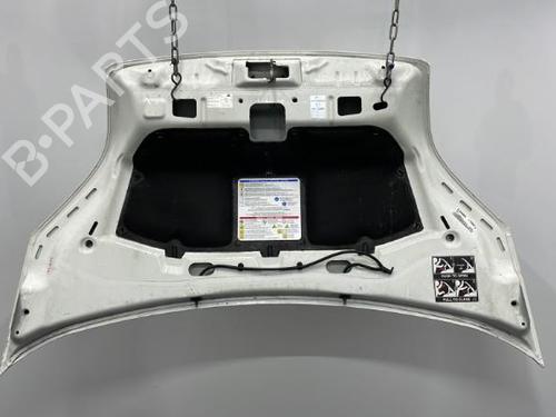 Used Hood PEUGEOT BIPPER (AA_) 1.3 HDi 75 (75 hp) 20445427