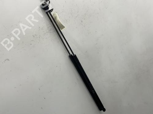 Tailgate lift support FORD C-MAX II (DXA/CB7, DXA/CEU) 1.6 TDCi | BP20449886C138 