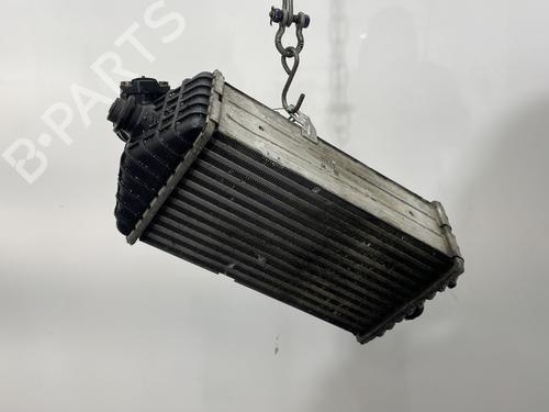 Intercooler HYUNDAI i20 I (PB, PBT) 1.1 CRDi | BP30547793M30 