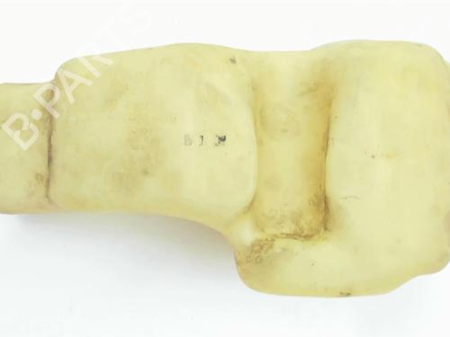 Used Windscreen washer tank Windscreen washer tank DAEWOO ESPERO (KLEJ) [1991-1999] 33445954 33445954