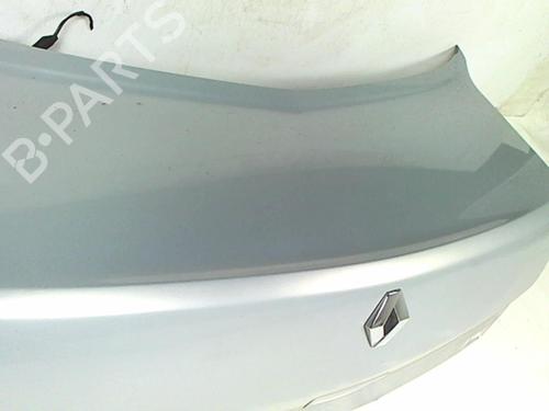 Tailgate RENAULT MEGANE II Saloon (LM0/1_) 1.9 dCi (LM0G, LM1G, LM2C) | BP20465959C6 