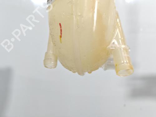 Used Expansion tank Expansion tank DACIA SANDERO III 1.0 SCe 65 (67 hp) 39904844 39904844