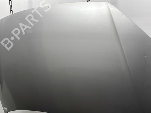 Hood VW POLO IV (9N_, 9A_) 1.4 TDI | BP29921976C1