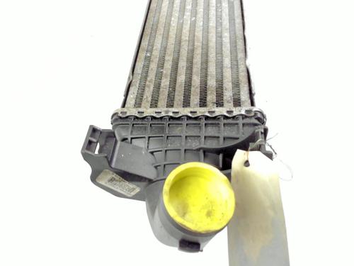 Used Intercooler Intercooler FORD FOCUS C-MAX (DM2) 1.8 TDCi (115 hp) 20424919 20424919