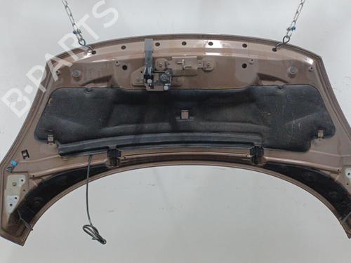 Capot Capot RENAULT GRAND SCÉNIC III (JZ0/1_) 2.0 dCi (JZ0Y, JZ26) (150 hp) 22102480 22102480