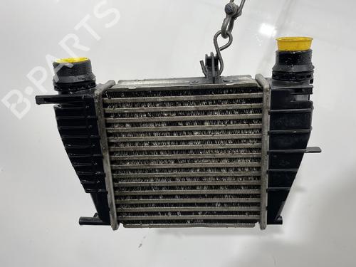 Intercooler RENAULT CLIO III (BR0/1, CR0/1) 1.5 dCi (C/BR0G, C/BR1G) (68 hp) 30628646