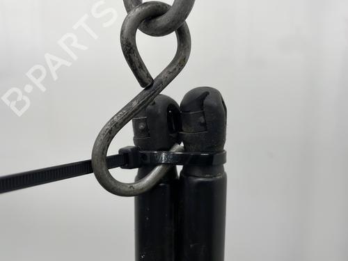 Tailgate lift support CITROËN C4 Picasso I MPV (UD_) 1.6 HDi | BP25586693C138 