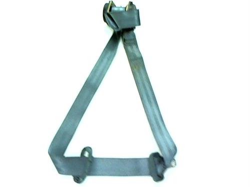 Used Rear left belt tensioner RENAULT MEGANE I (BA0/1_) 1.6 e (BA0F, BA0S) (90 hp) 20392311