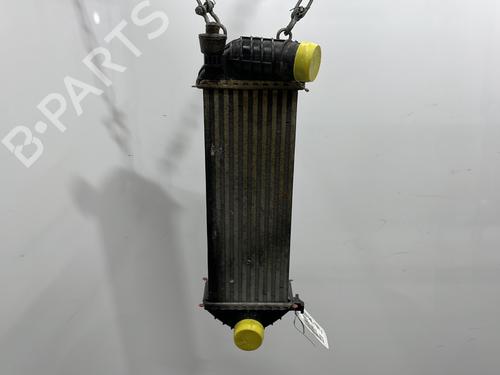 Used Intercooler RENAULT KANGOO / GRAND KANGOO II (KW0/1_) 1.5 dCi 90 (KW05, KW08, KW0G, KW11) (90 hp) 28482004