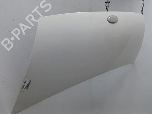 Hood FORD TRANSIT Van (FA_ _) 2.0 DI (FAE_, FAF_, FAG_) | BP20446623C1 