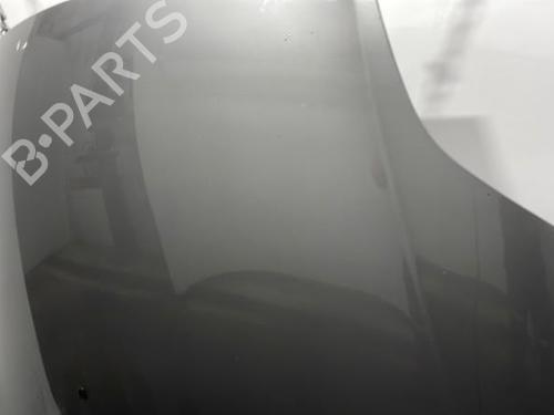 Hood FIAT BRAVO II (198_) 1.6 D Multijet (198AXM1B) | BP20388180C1