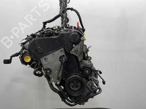 Engine VW POLO V (6R1, 6C1) 1.6 TDI | BP29638937M1 